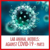 Découvrez comment les modèles animaux de laboratoire jouent un rôle essentiel contre le COVID-19 (Partie 3)
